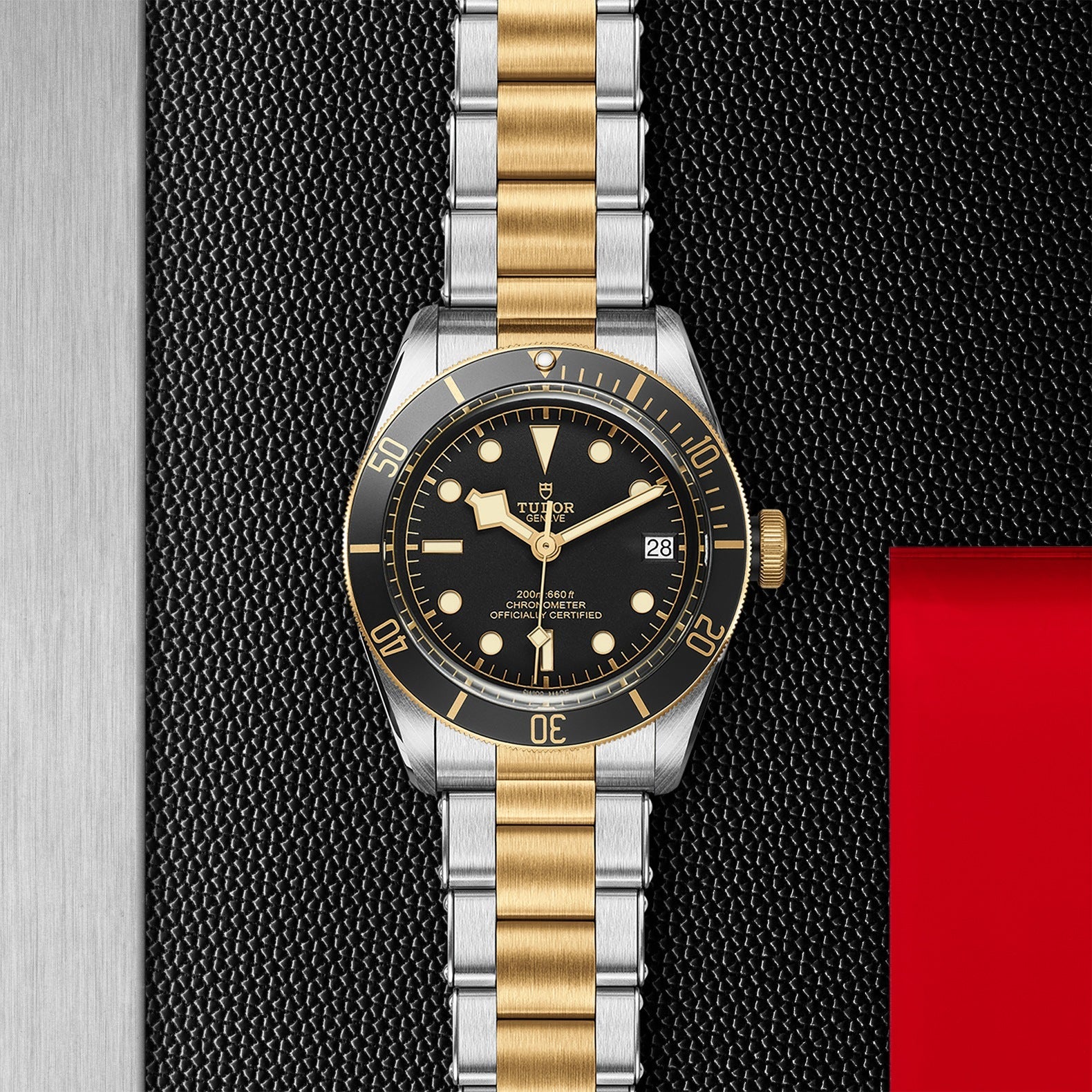 TUDOR Black Bay S&G Watch - M79733N-0008 | Tudor Canada - Raffi
