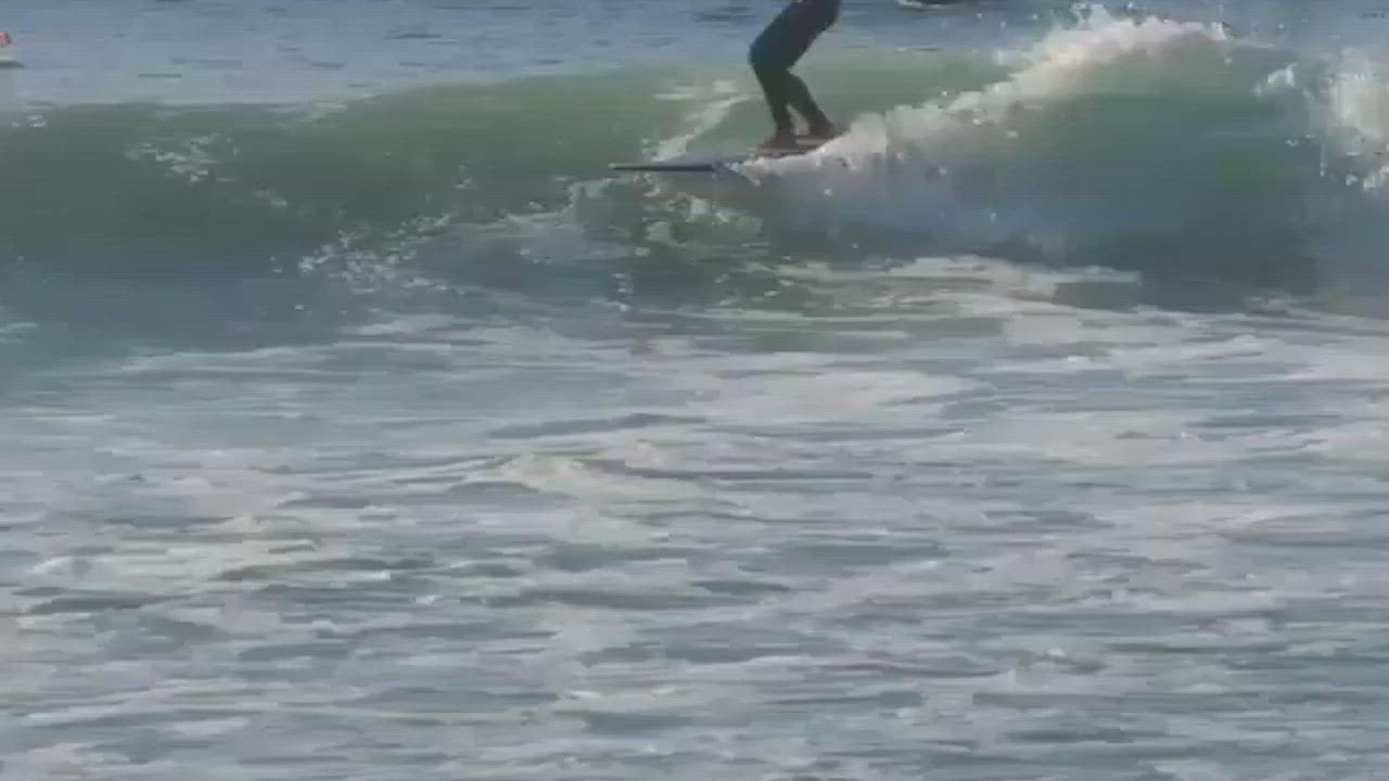 Larry Allison Flex Fin 7' volan