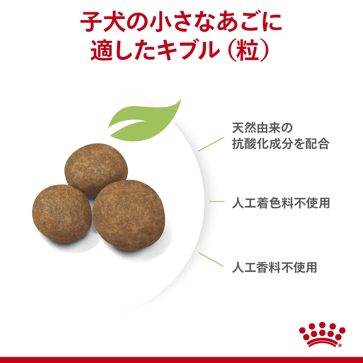 マキシ パピー (大型 子犬用 ドライ） | Royal Canin JP
