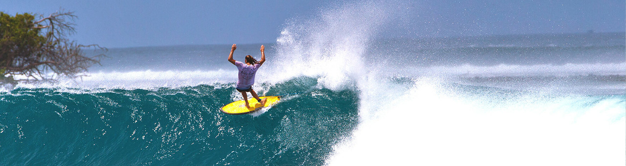 Asher Pacey Twin Fins | Ride Like A Pro | Shapers Surf