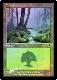 Magic The Gathering 7th Edition Single Card Basic Land Forest