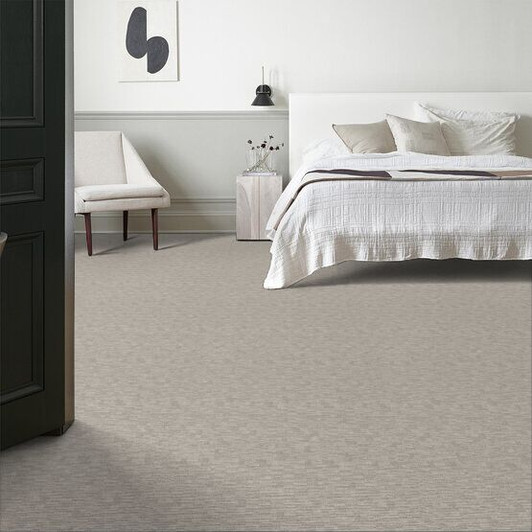 Anderson Tuftex Pet Perfect Plus Knickknack Carpet