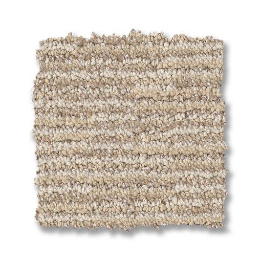 Anderson Reawaken Pet Perfect Plus Caboodle Carpet