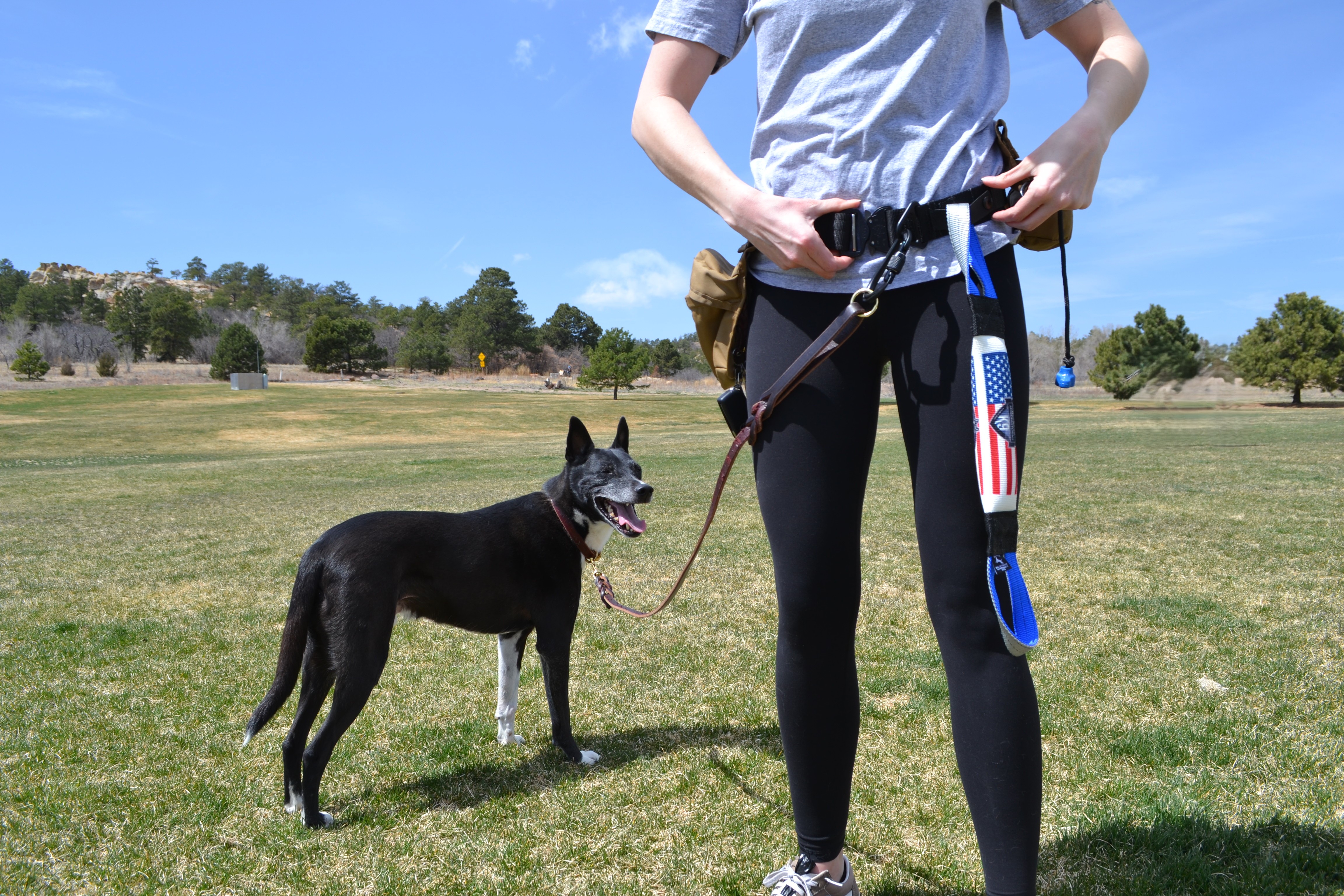 K9 Trainer's Belt | Dog Training Gear | Metal Cobra Buckle