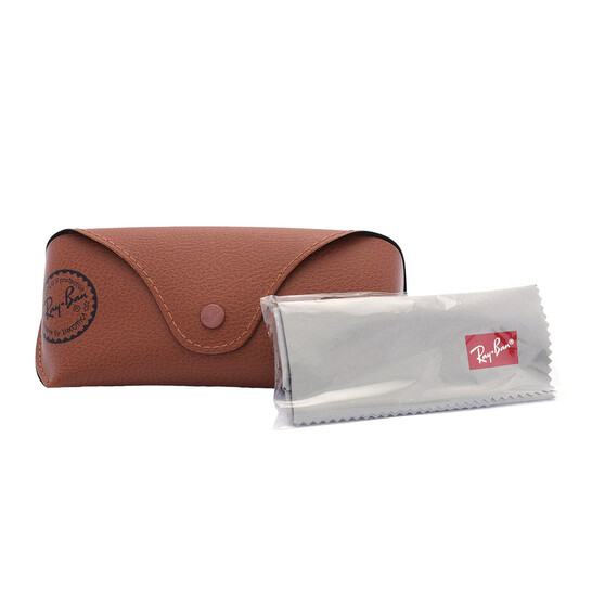 Ray-Ban Erik Polarized Brown Square Unisex Sunglasses RB4398 902