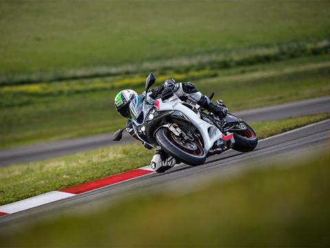 New 2025 Kawasaki Ninja ZX-6R ABS | Motorcycles in Burlington WA