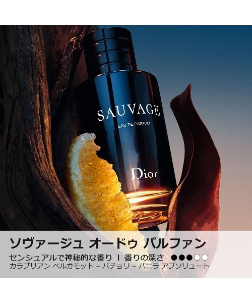 ソヴァージュ オードゥ パルファン(100mL)（香水）｜DIOR（ディオール