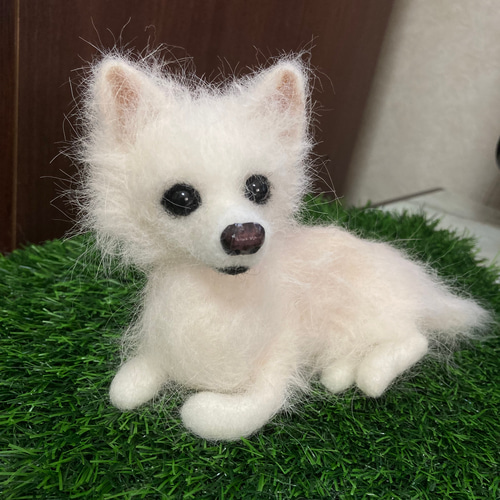 うちの子オーダー 受注制作 羊毛フェルト犬 チワワ 見本 羊毛フェルト