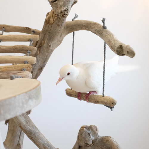 流木バードアスレチック M おもちゃ・ペット小物 Driftwood and birds