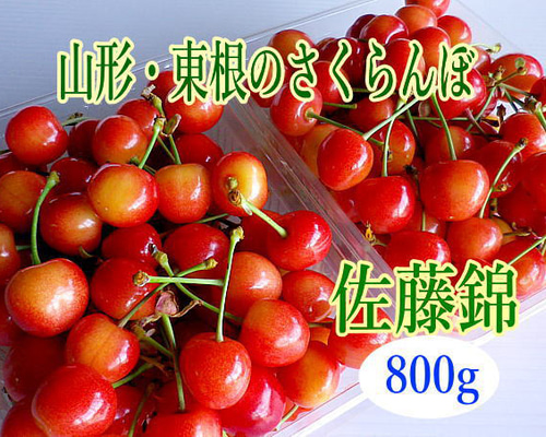 6月中旬～ 佐藤錦*東根のさくらんぼ 800g入り 果物（フルーツ） 細矢