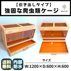 強固な爬虫類「引き出しケージ」120×60×60cm◇送料無料 #爬虫類ケージ