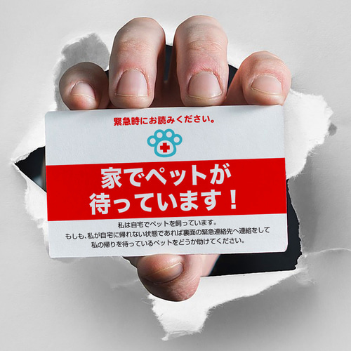 ペット エマージェンシー カード（4枚セット） 災害 対策 救急 救助