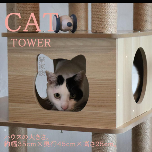 キャットタワー 木製 宇宙船カプセル 大型猫 据え置き型 多頭飼い