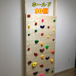 うんてい ブレキエーション スラックライン 鉄棒 室内 遊具