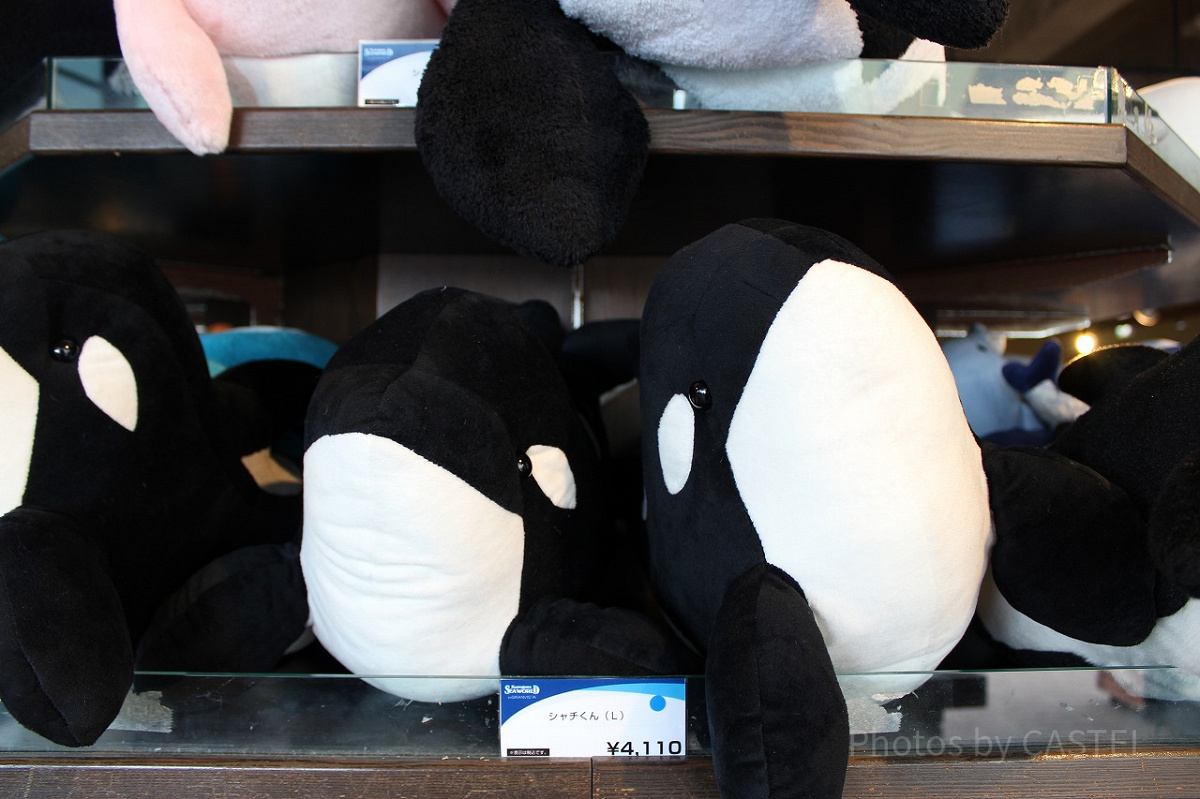 鴨川シーワールドのシャチのぬいぐるみ| キャステル | CASTEL