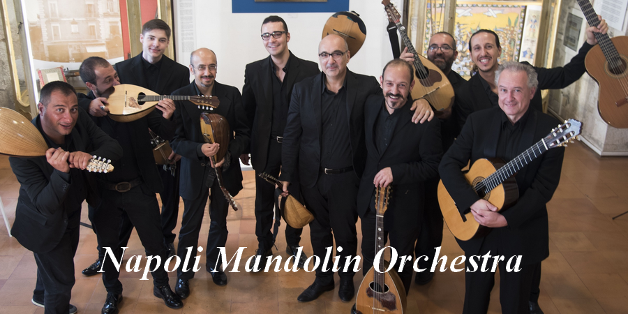 プロフィール ナポリ・マンドリン・オーケストラ Napoli Mandolin