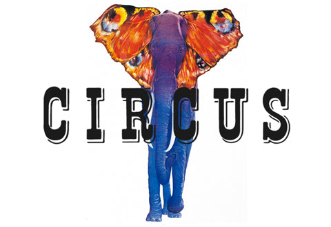 IF SIX WAS NINE/TXS-1/DX/M – CIRCUS by MANIAC