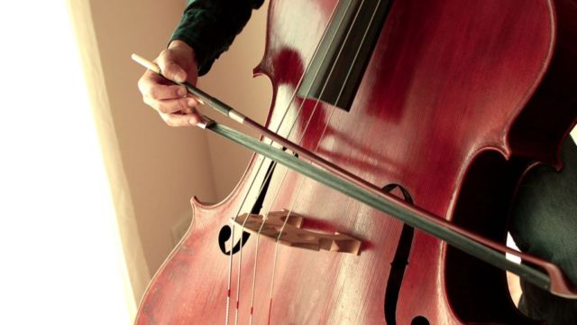 右手の指の役割知ってますか？コントラバスの弓の持ち方