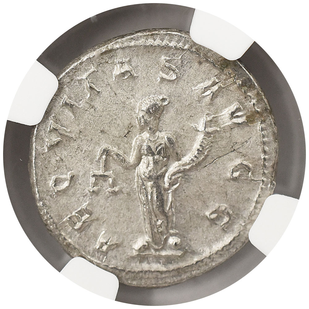 ローマ帝国 デナリウス銀貨 ジュリア・マエサ NGC鑑定付き XF Ch XF 4