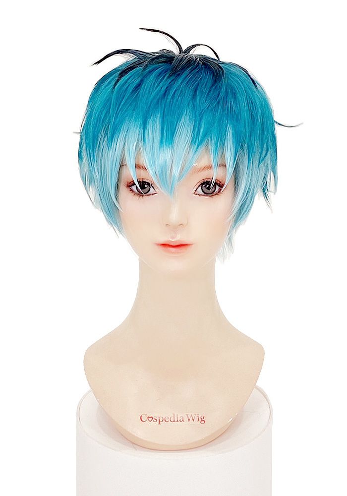 ヒプノシスマイク 白膠木簓 風 ウィッグ ヒプノシスマイク 風