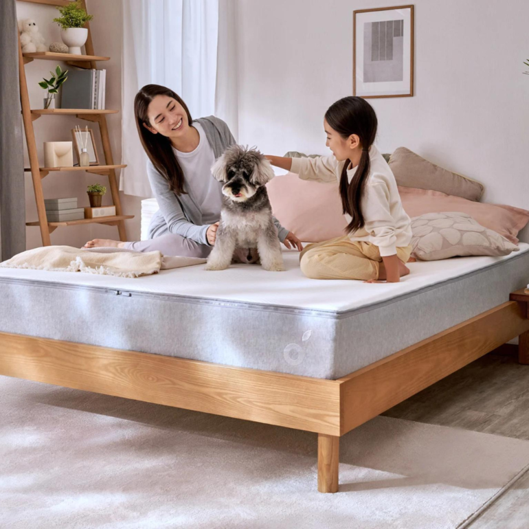 Koala New コアラマットレス ダブル Koala / コアラマットレスの