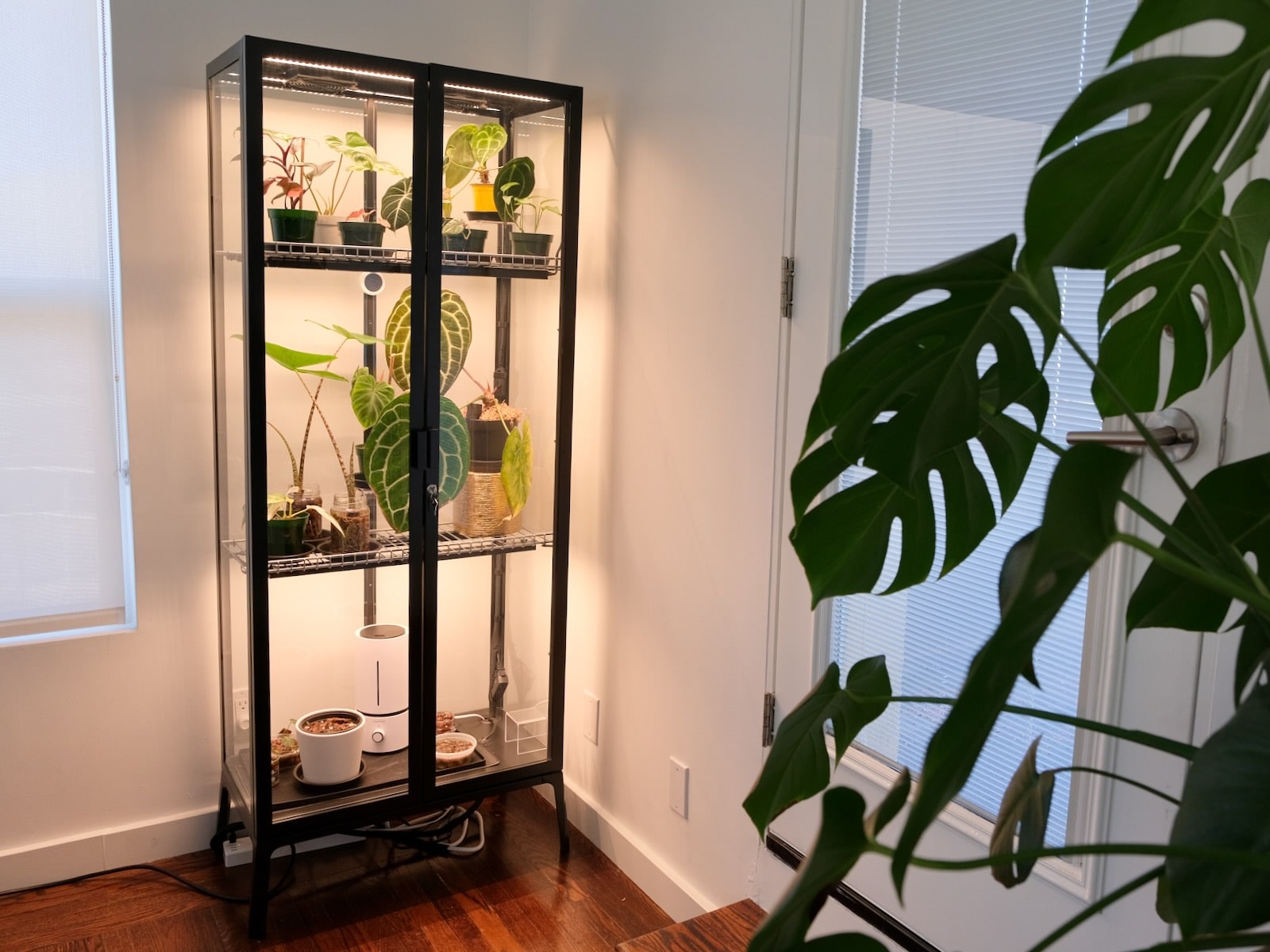 My IKEA MILSBO Greenhouse Build • Nathaniel Daught