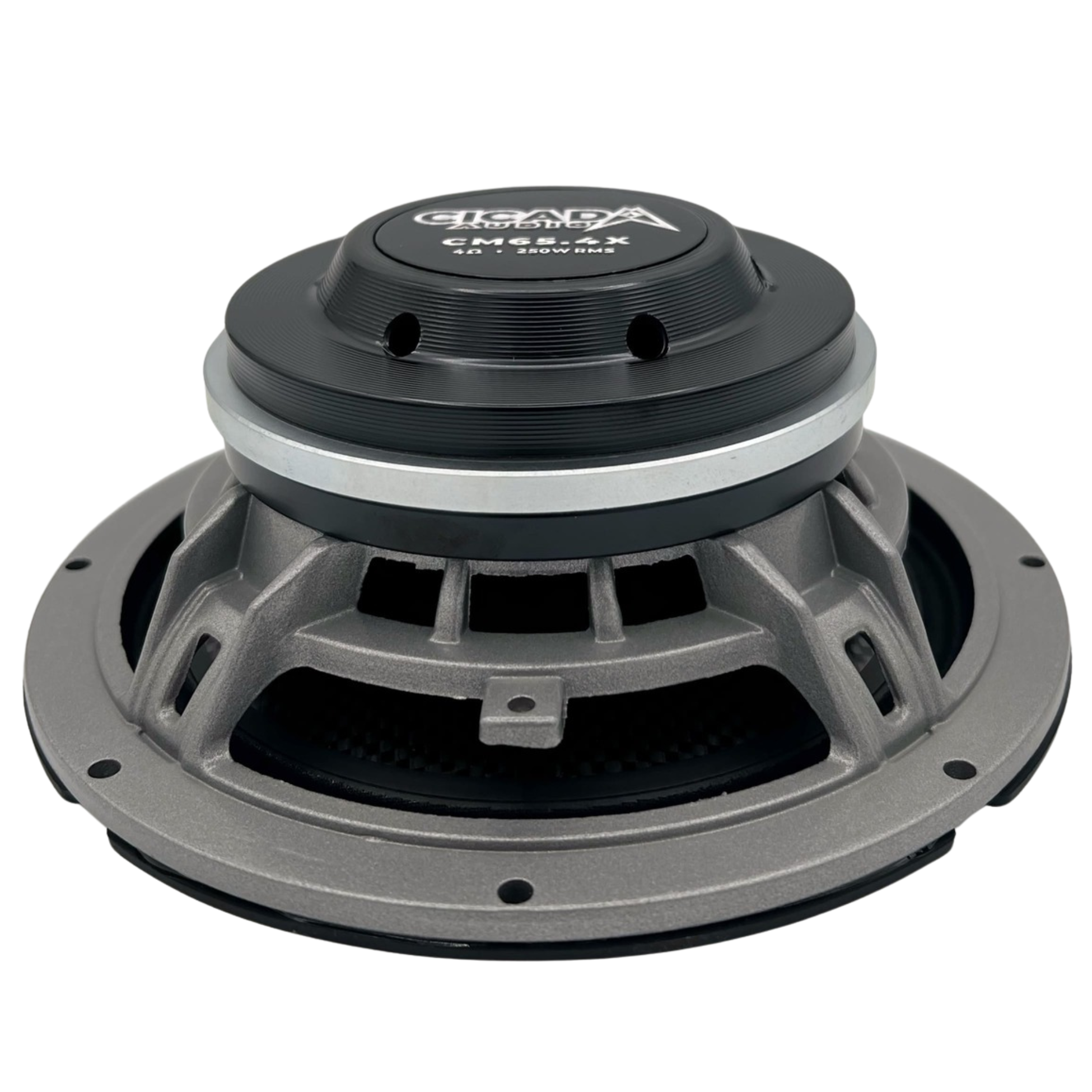 Cicada Audio CM65X 6.5