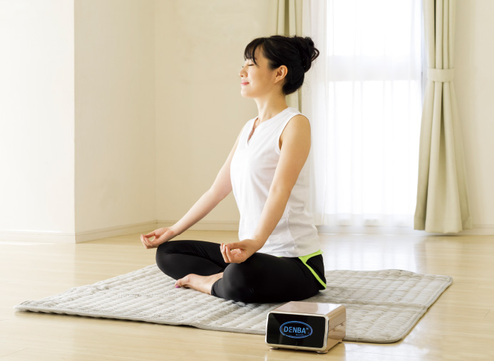 DENBA Healthスタンダード製品ページ | DENBA公式一次販売店