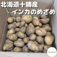 酵素栽培】北海道十勝産インカのめざめ 4kg ｜ 野菜/じゃがいも 産直