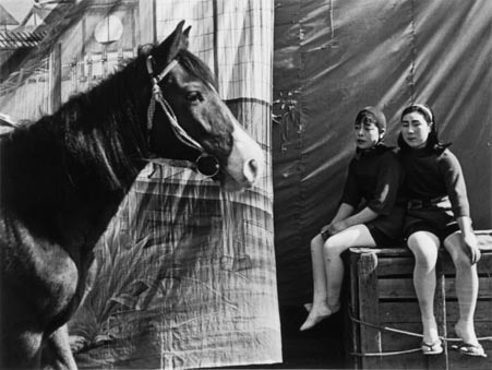 Nakaji YASUI - 安井仲治 | shashasha - Photography & art in books