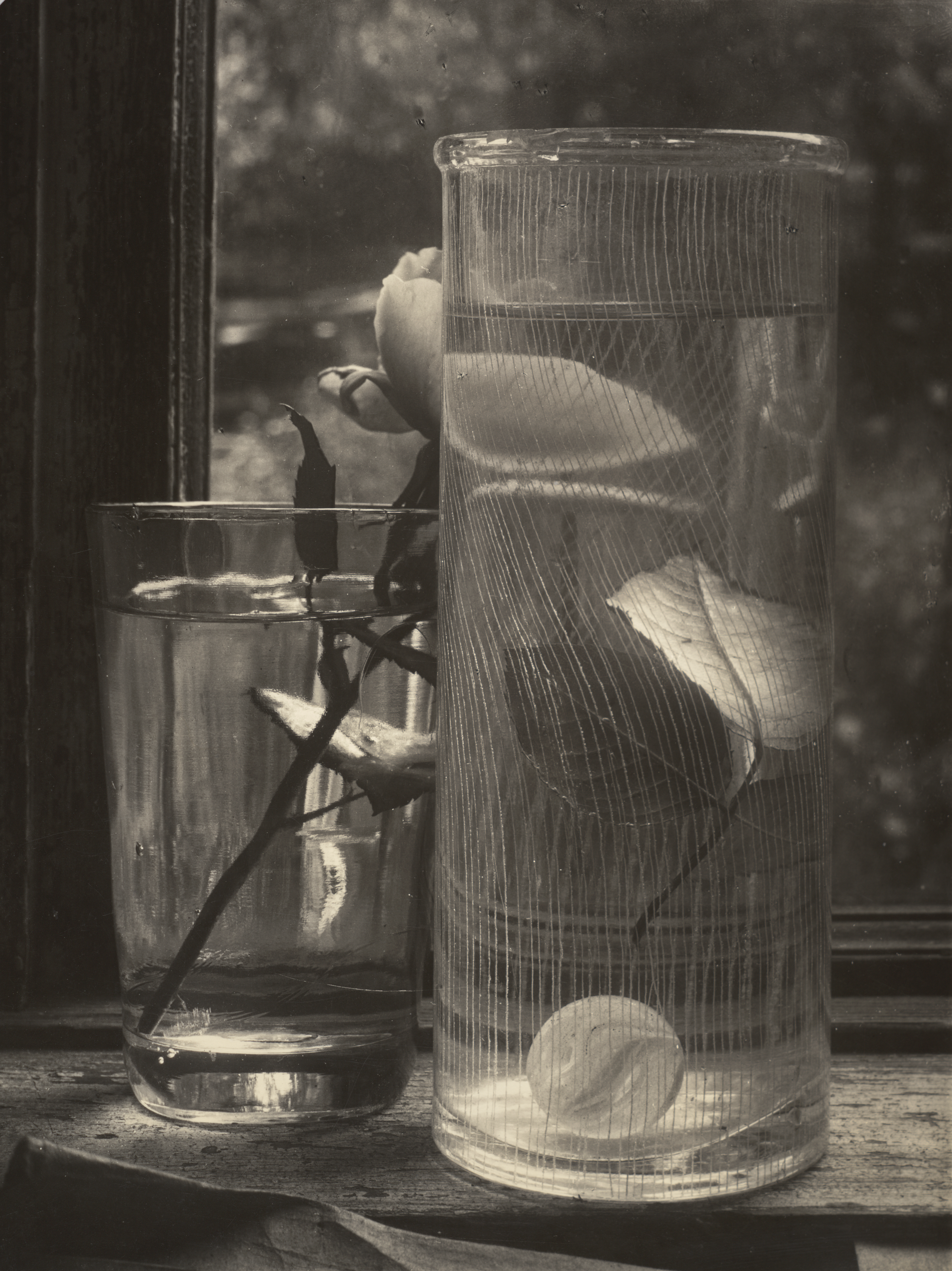 Josef Sudek, Flower and Glass by Window, ca. 1950s · SFMOMA