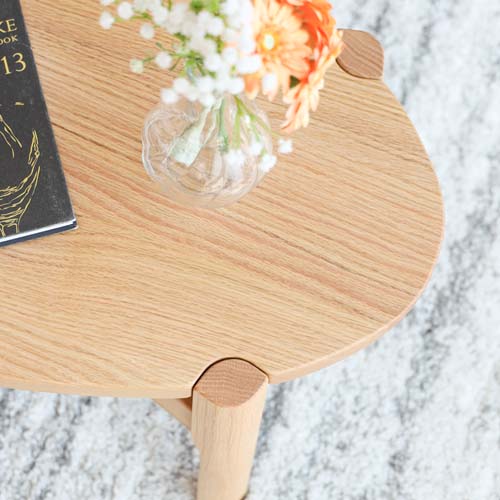 飛騨家具 ibata interior イバタインテリア リッツ センターテーブル