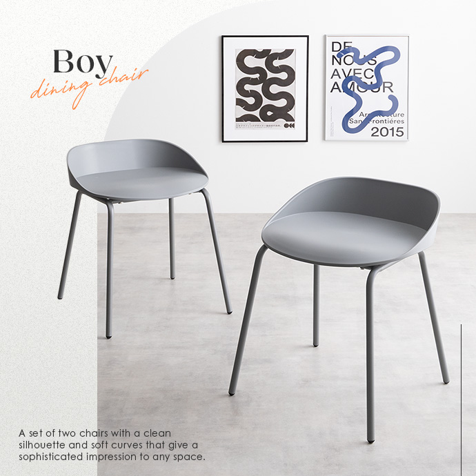 g116024]【2脚セット】Boy ダイニングチェア ダイニングチェア | 家具