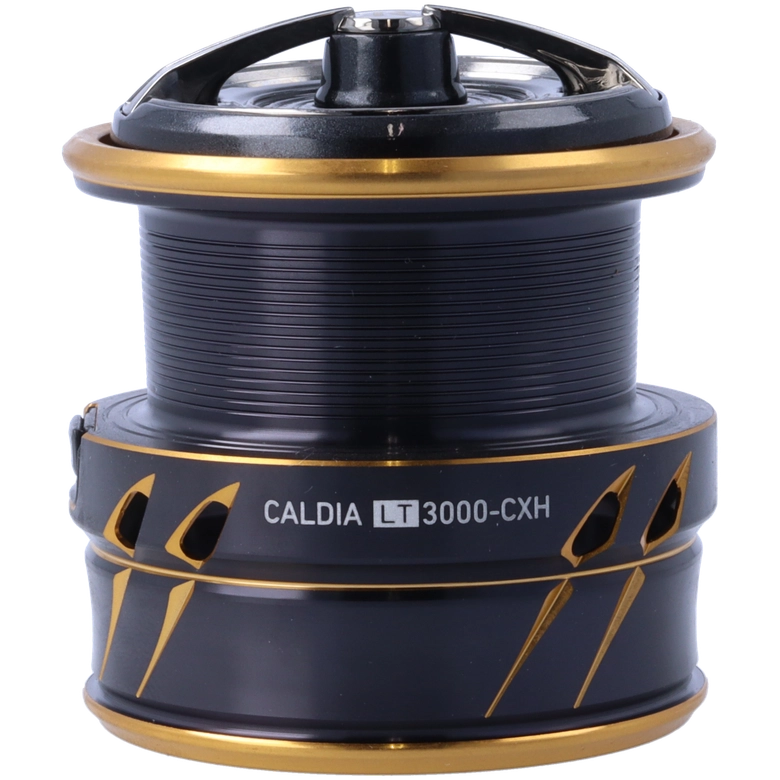 DAIWA 21カルディア LT3000-CXHの最安値・インプレ・釣果 | 本音の
