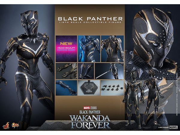 1/6 ムービー・マスターピース ブラックパンサー / ワカンダ