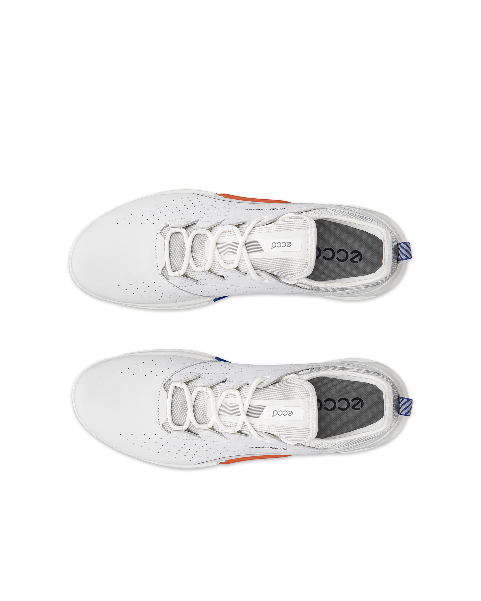 ECCO Golf BIOM C4 Men メンズ レザーGore-Texゴルフシューズ | ホワイト