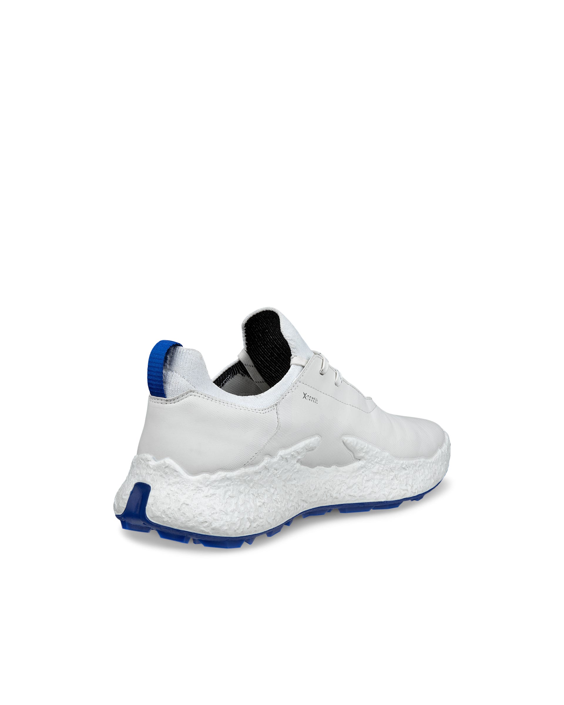 ECCO Golf BIOM H5 Hybrid Men メンズ レザーウォータープルーフゴルフ