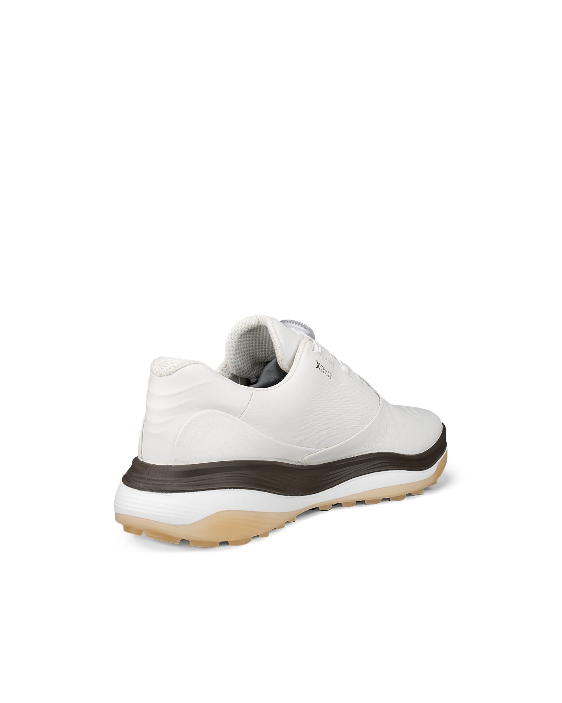 ECCO GOLF LT1 BOA Men メンズ レザーウォータープルーフゴルフ