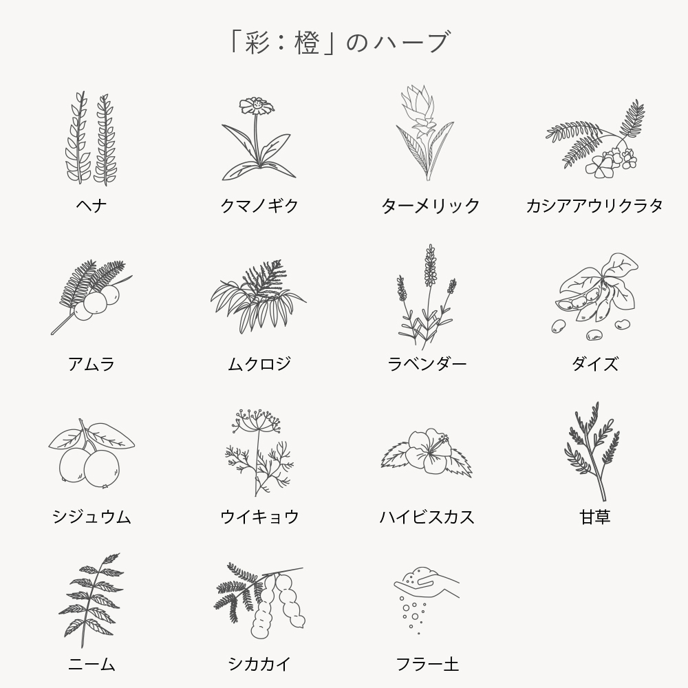 mokumokuto shop