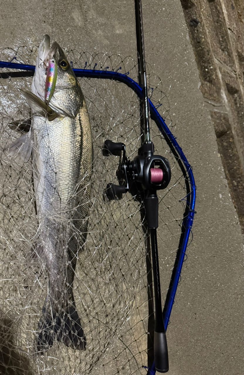 SHIMANO 20ルナミス B86MLの最安値・インプレ・釣果 | 本音の口コミが