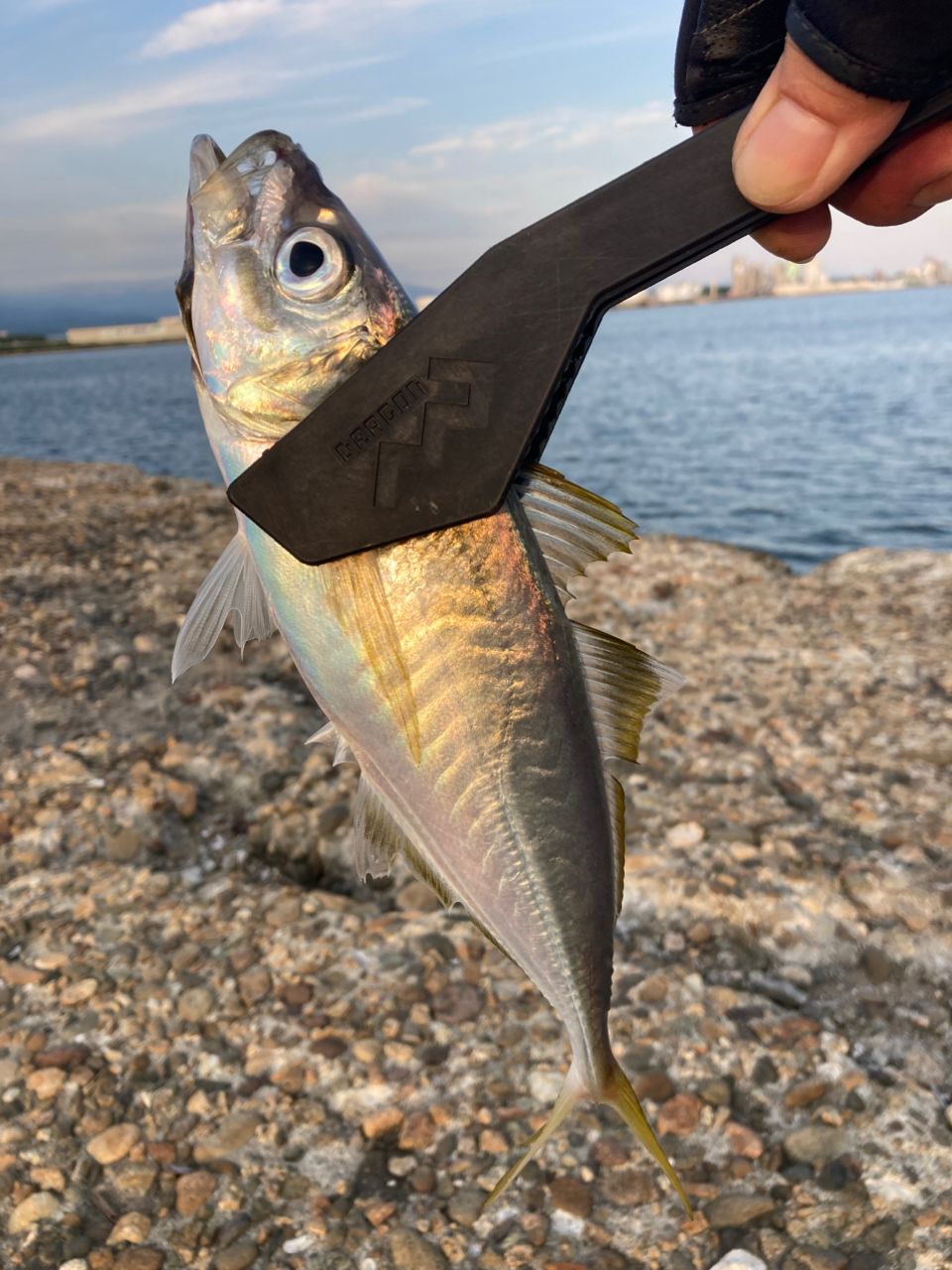 SHIMANO 18ハードロッカー S83MHの最安値・インプレ・釣果 | 本音の