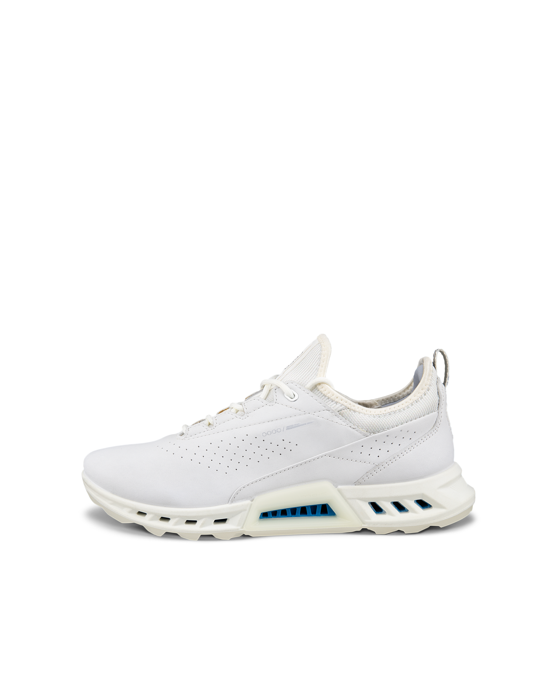 ECCO Golf BIOM C4 Hybrid ウィメンズ レザーGore-Texゴルフシューズ
