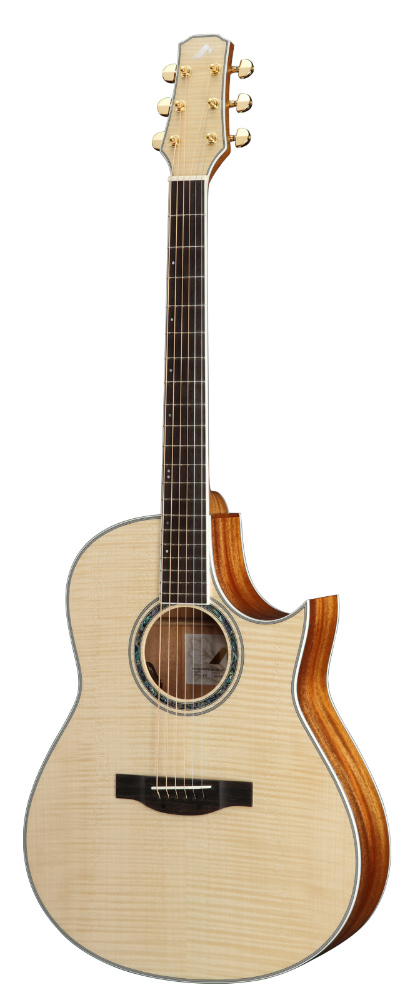 Morris（モーリス）のエレアコ「TC-16」にナチュラルカラー登場!