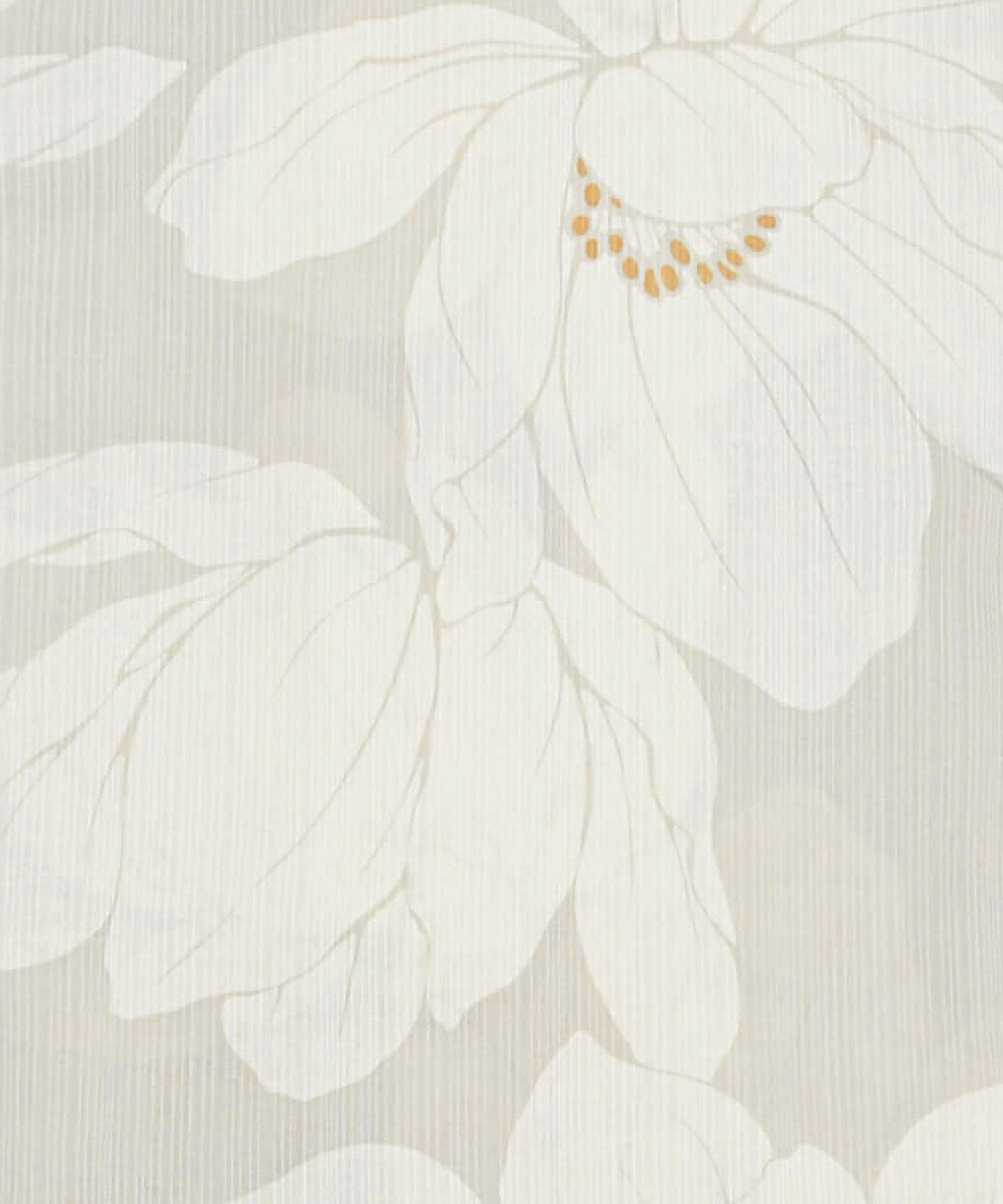 ECRU Lily | Dita（ディータ）オフィシャルストア