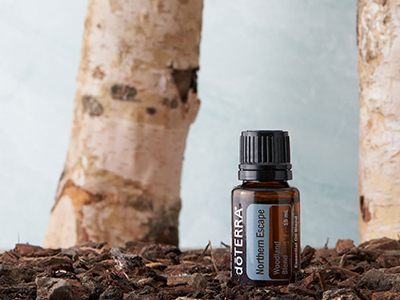 Woodland Trio and Car Clip Diffuser | doTERRA Essential Oils