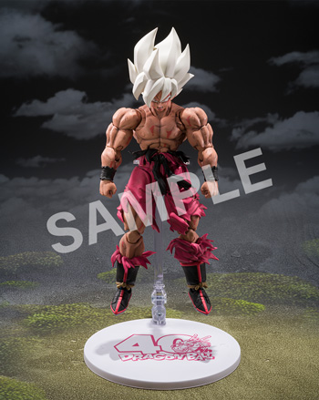 ドラゴンボール ゲンキダマツリ 入場チケットの第2次抽選応募を開始