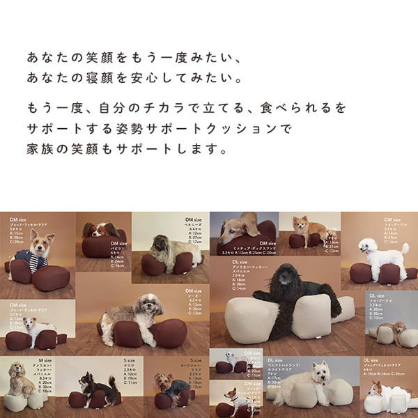 アロン化成 OneAid リラクッション DM ブルー(ブルー): 日用品・生活