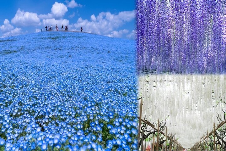 caption.jpg?w=1200&h=-1&s=1