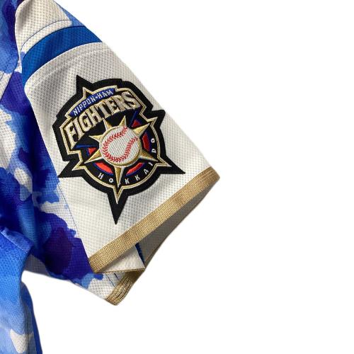 北海道日本ハムファイターズ (ホッカイドウニッポンハムファイターズ