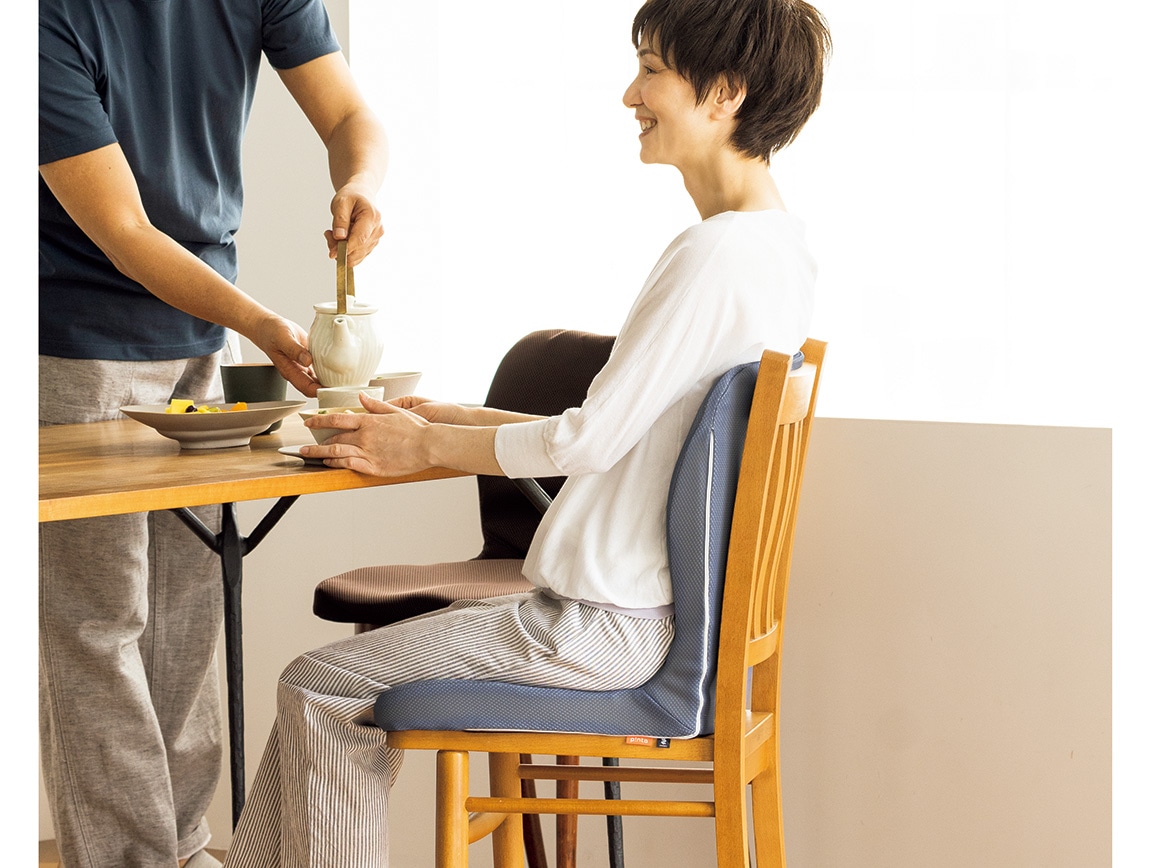 pinto 置くだけラクッションビューティー Hi（専用カバー付き